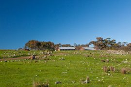 Tuki Ballarat Rural Retreat