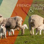 French Brunch & Farm Tour (Limited time only)
