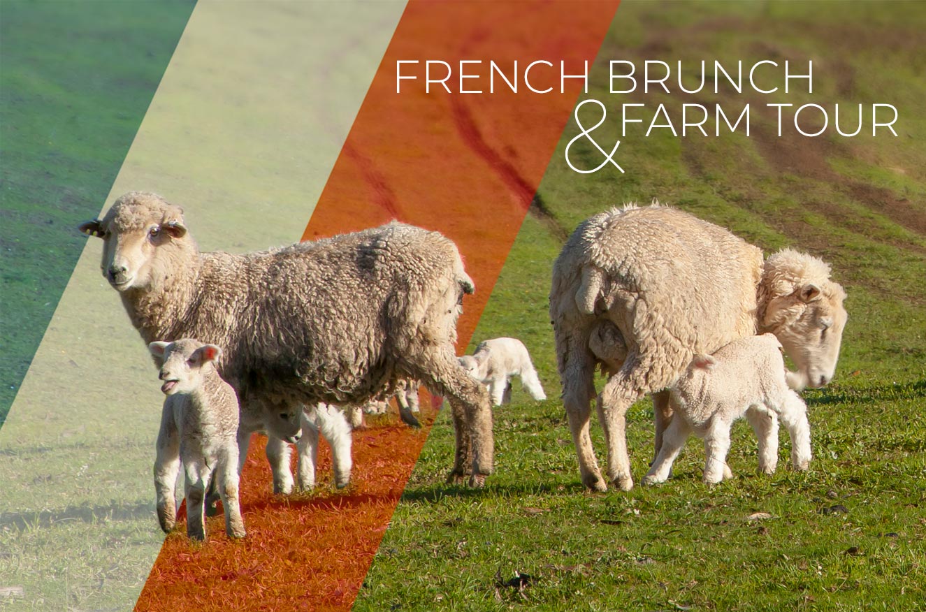 french-brunch-farm-tour-tuki-2